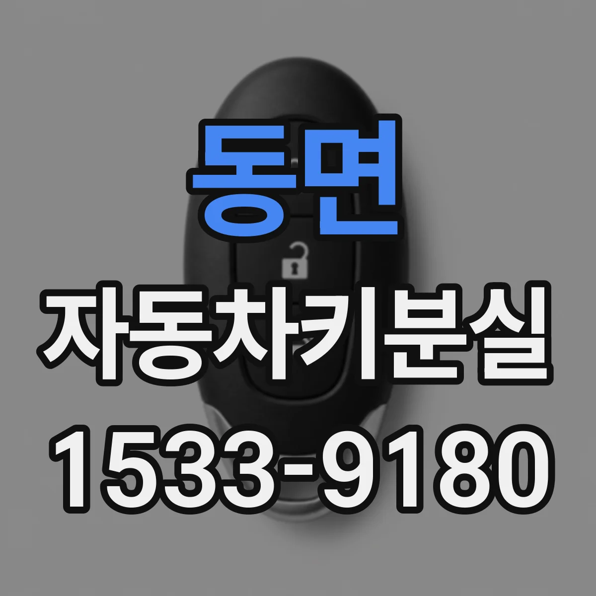 동면 자동차키분실