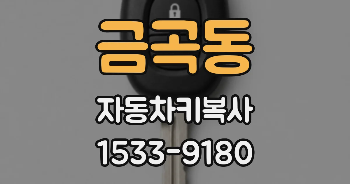 금곡동 자동차키복사