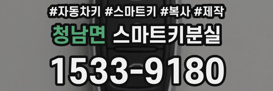 청남면 스마트키분실