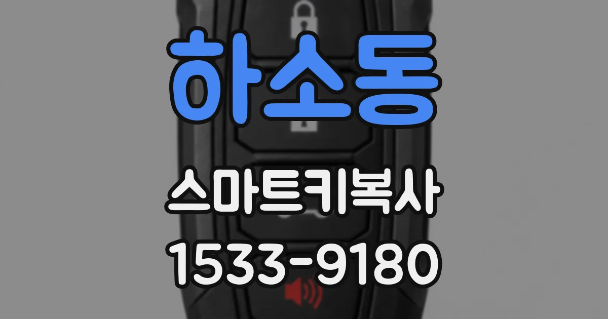 하소동 스마트키복사