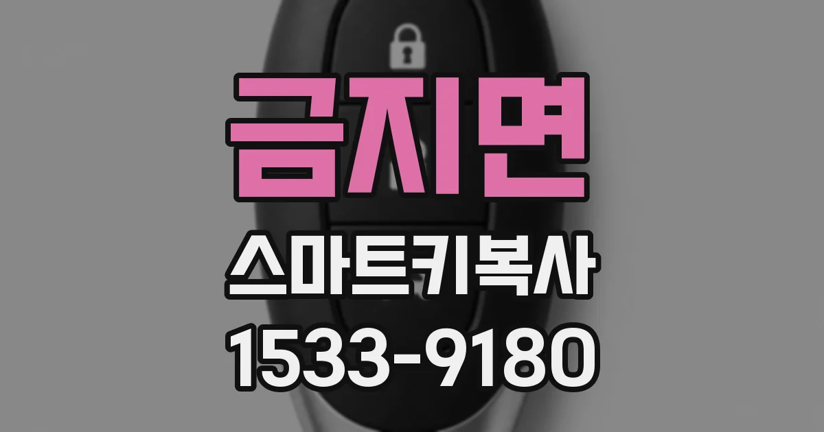 금지면 스마트키복사