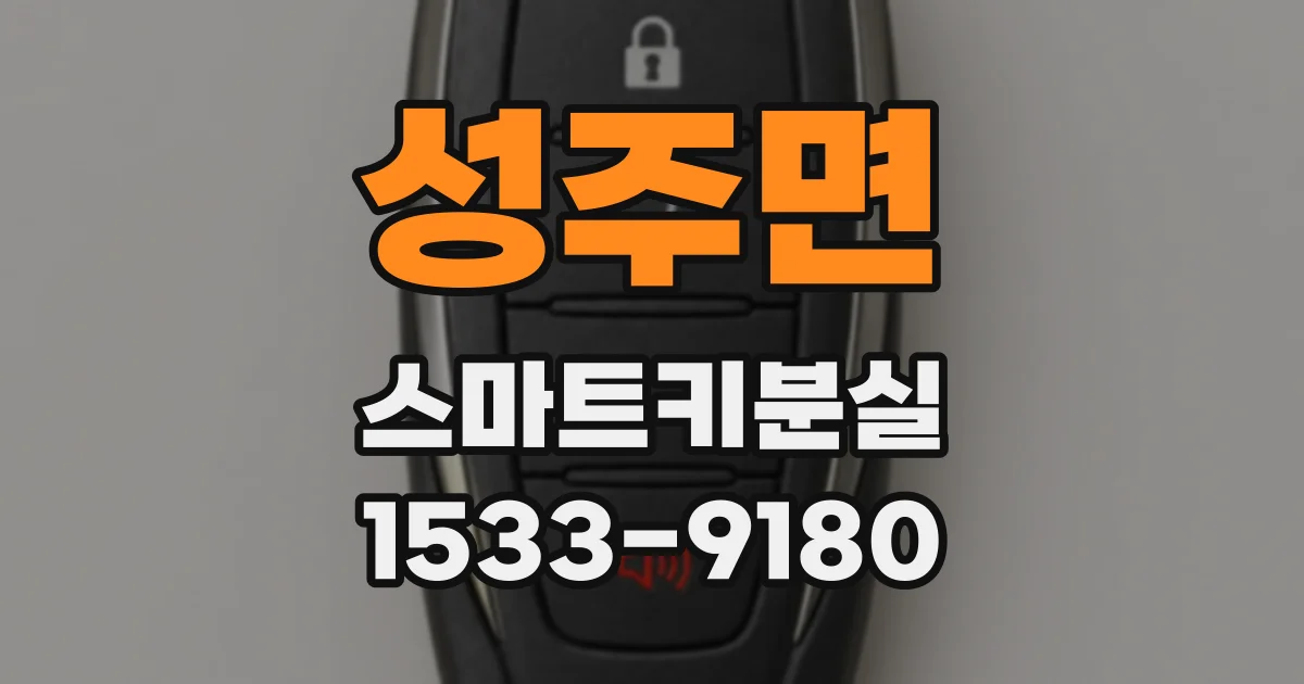 성주면 스마트키분실