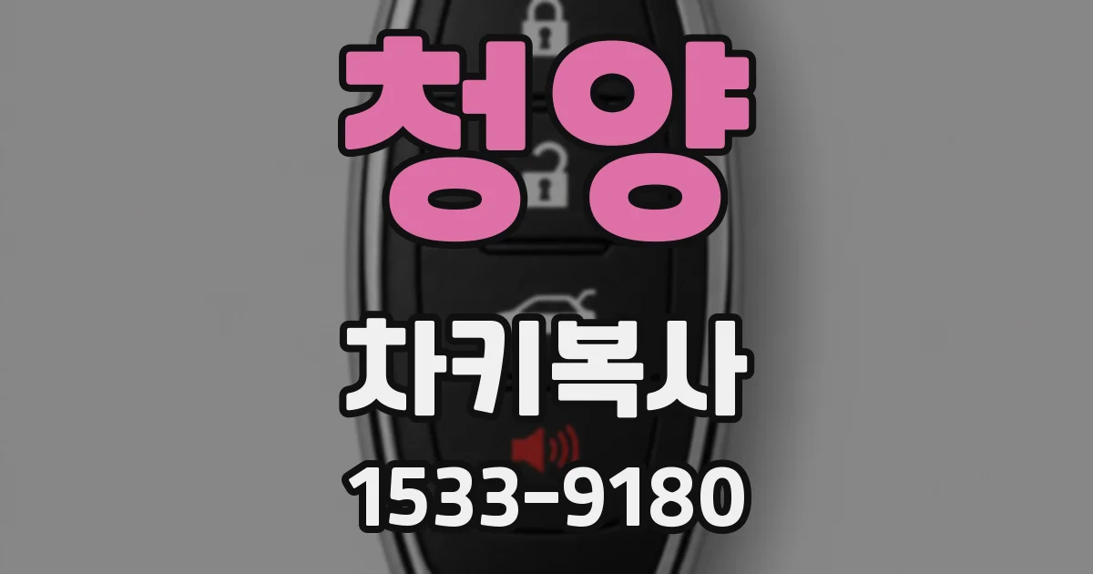 청양 차키복사