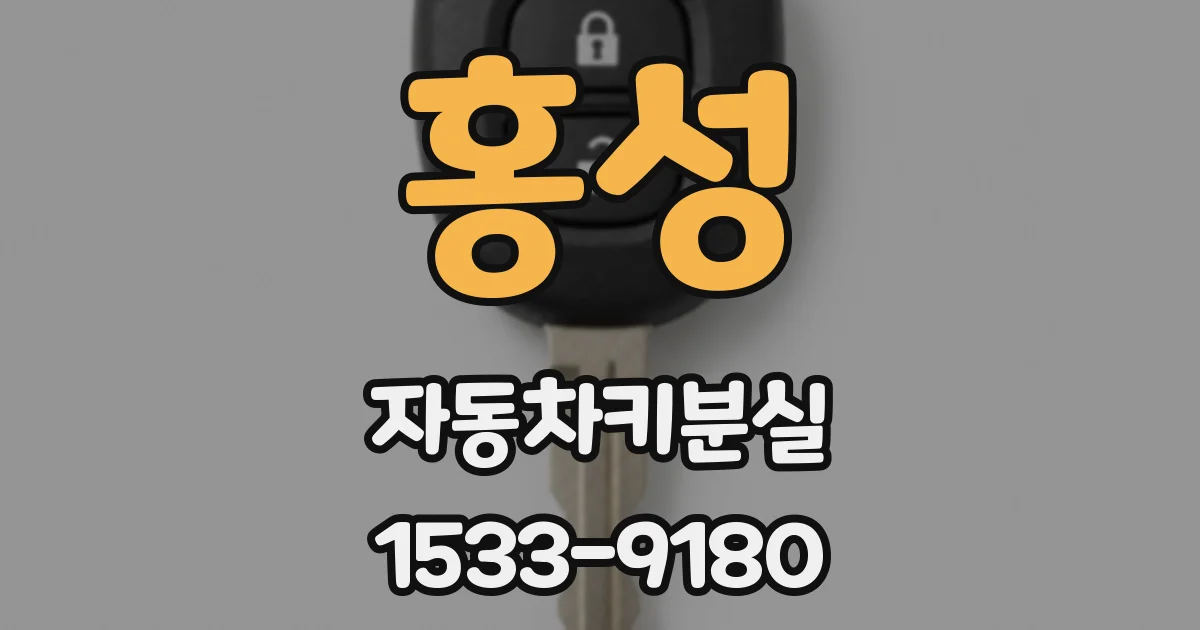 홍성 자동차키분실