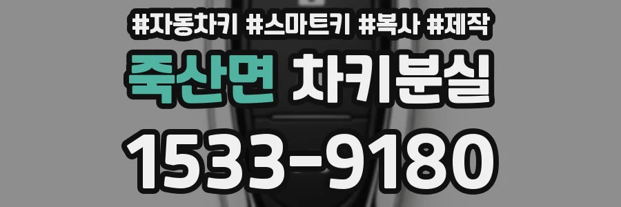 죽산면 차키분실