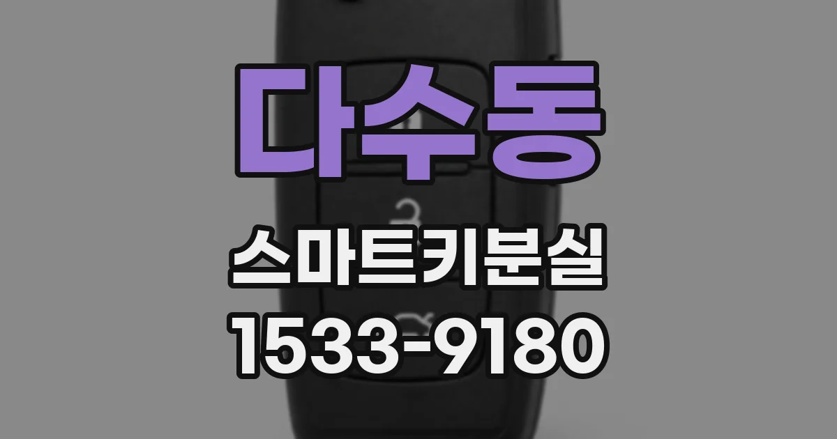 다수동 스마트키분실