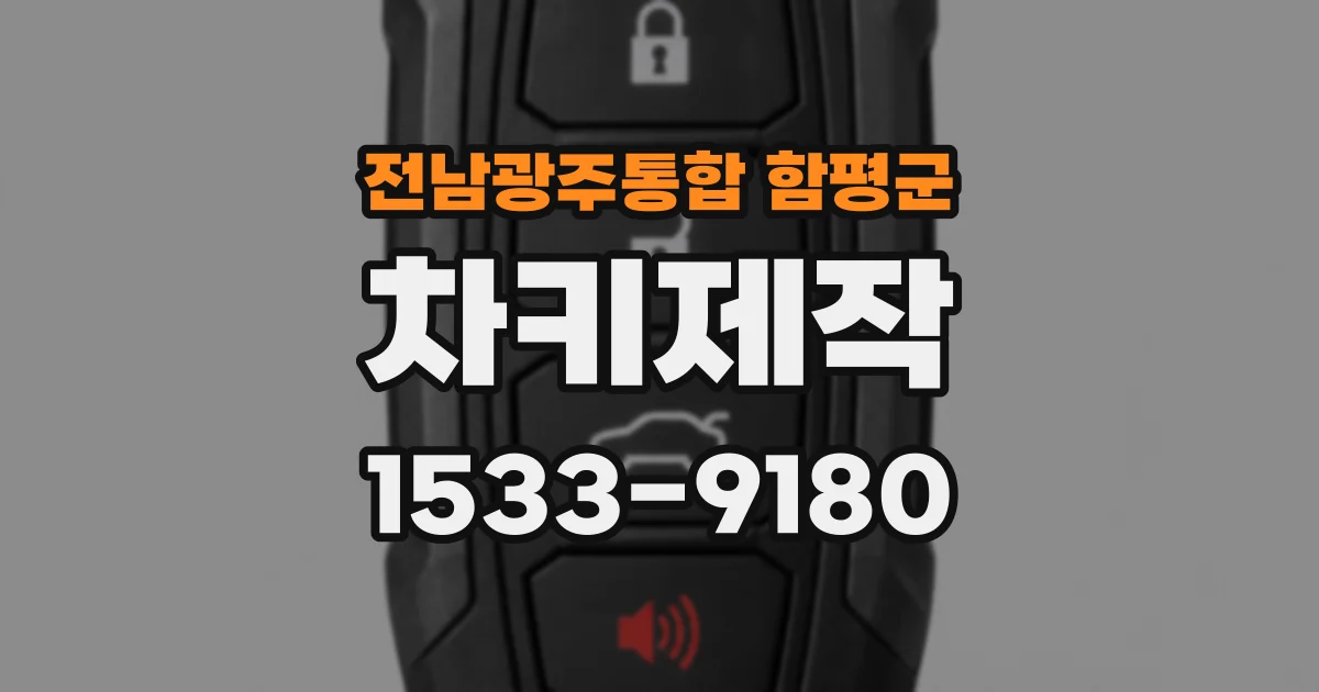 전남광주통합 함평군 차키제작