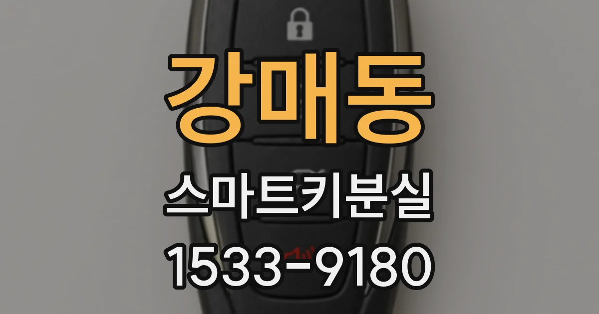강매동 스마트키분실