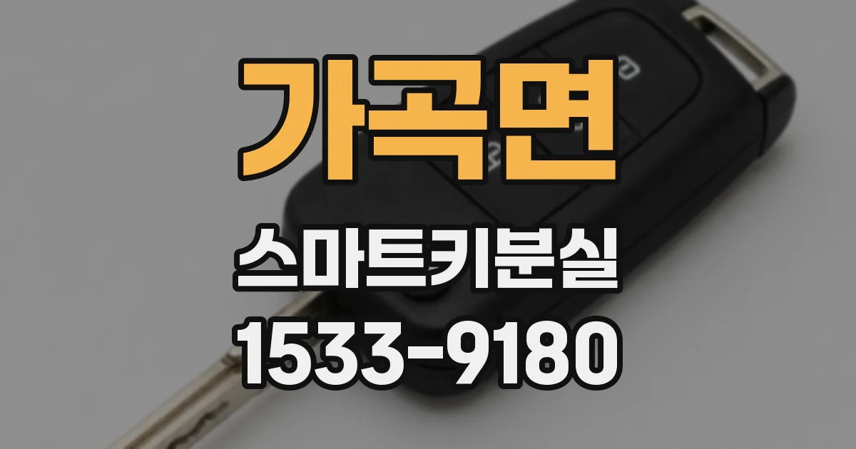가곡면 스마트키분실