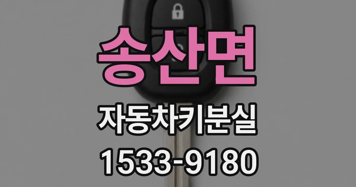 송산면 자동차키분실