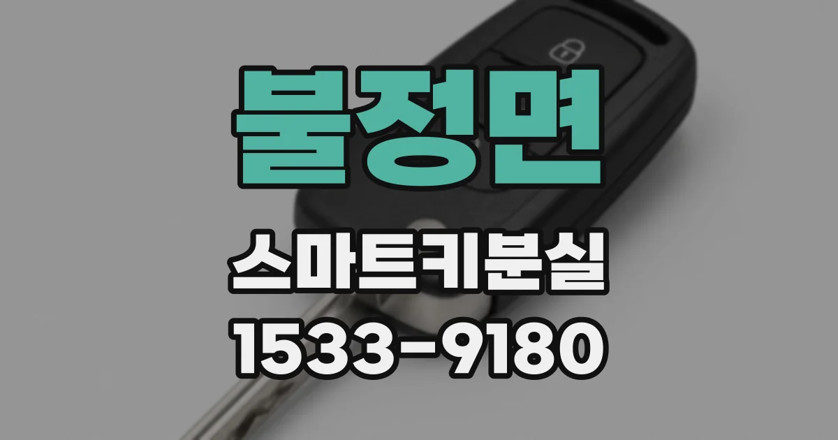 불정면 스마트키분실