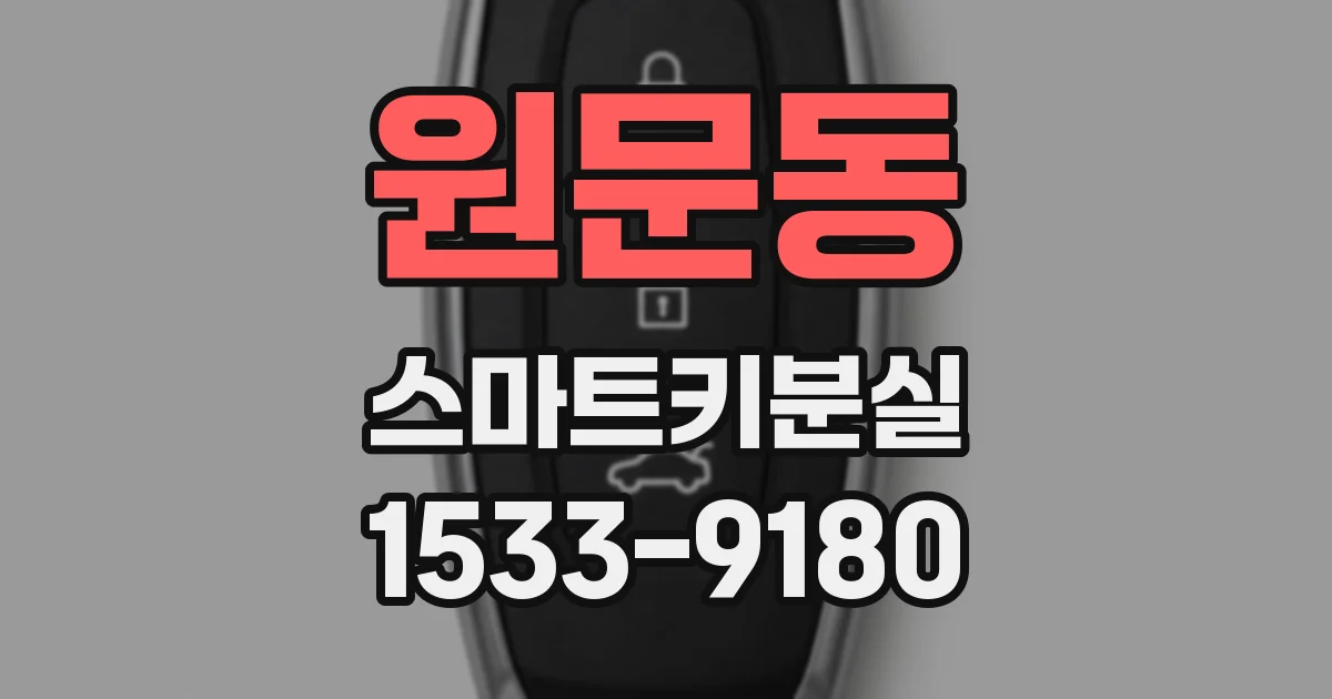 원문동 스마트키분실