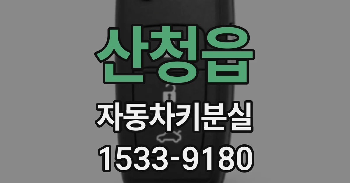 산청읍 자동차키분실