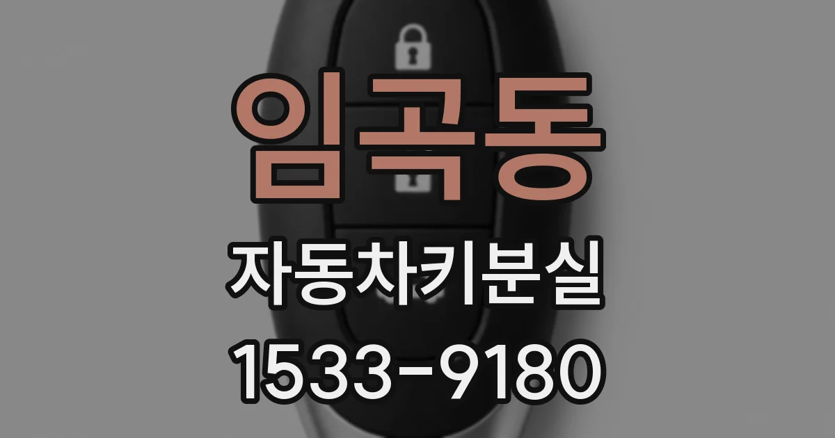 임곡동 자동차키분실