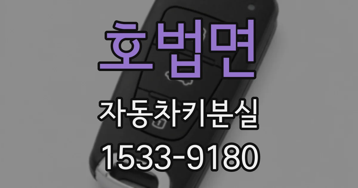 호법면 자동차키분실