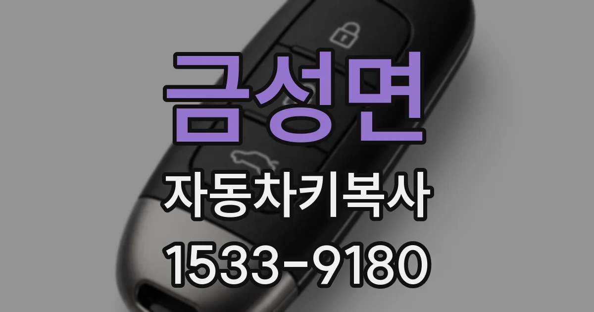 금성면 자동차키복사