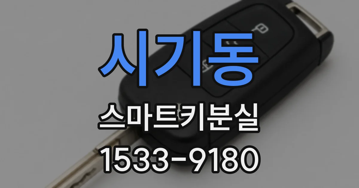 시기동 스마트키분실