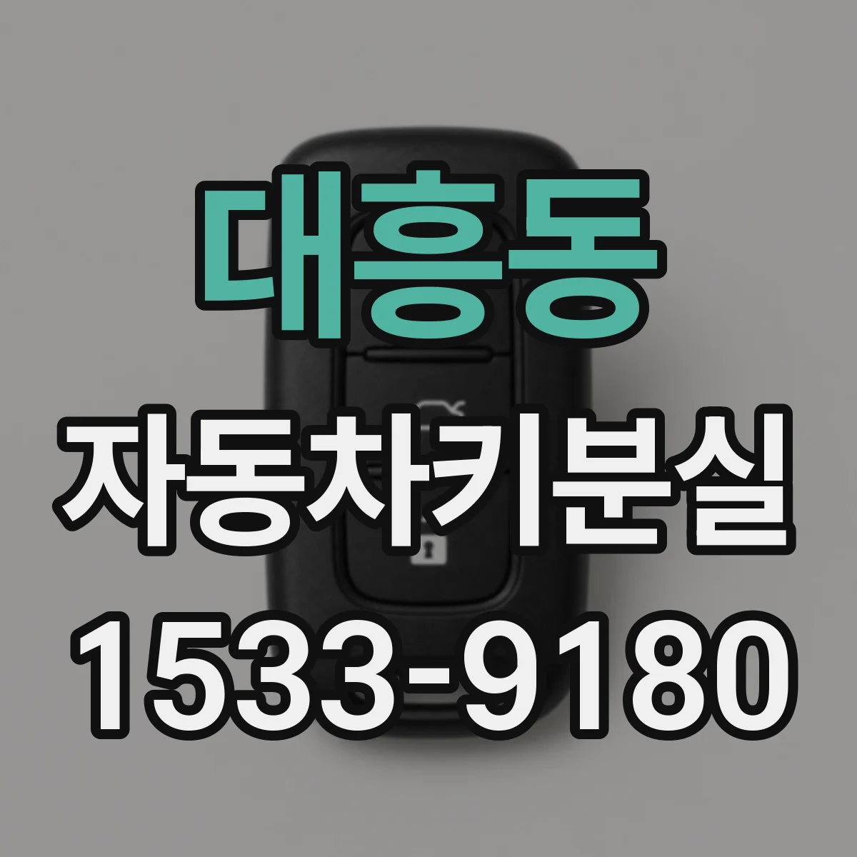 대흥동 자동차키분실