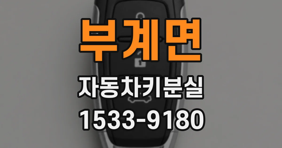 부계면 자동차키분실