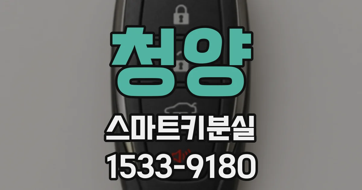 청양 스마트키분실