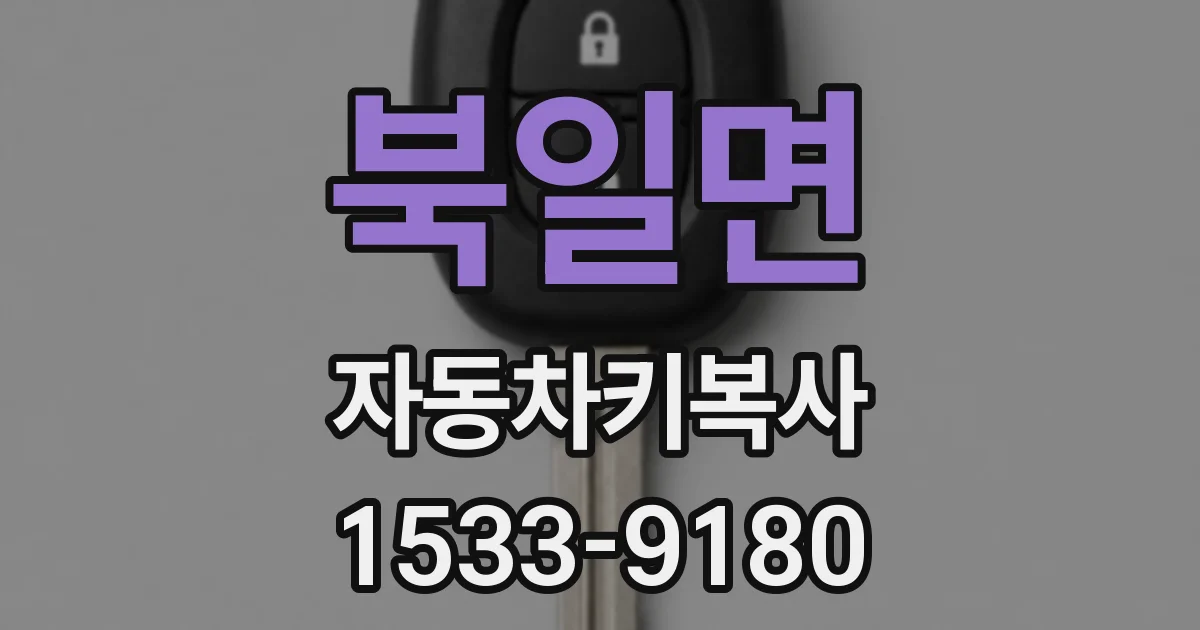 북일면 자동차키복사