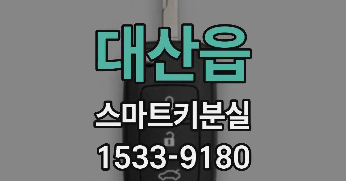 대산읍 스마트키분실