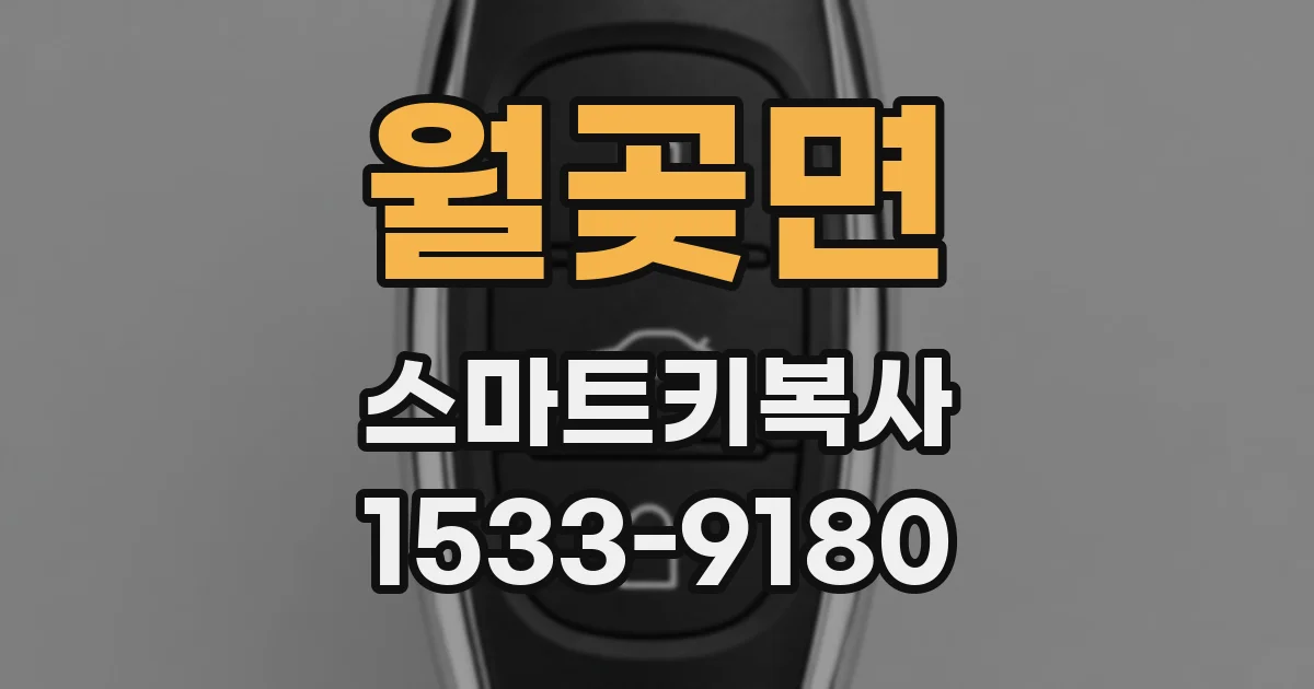월곶면 스마트키복사