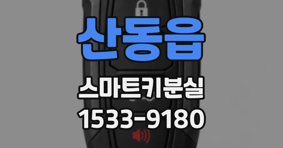 산동읍 스마트키분실