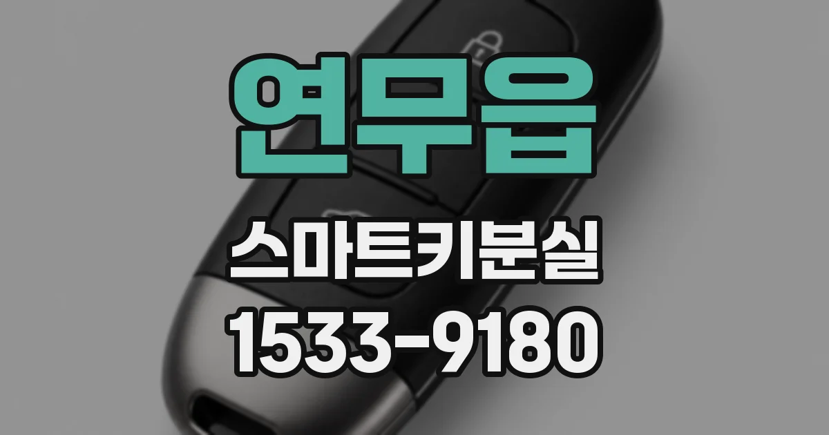 연무읍 스마트키분실
