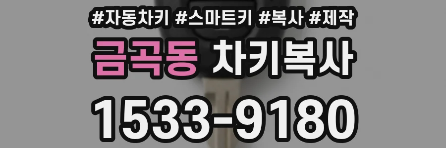 금곡동 차키복사
