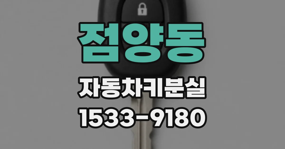 점양동 자동차키분실