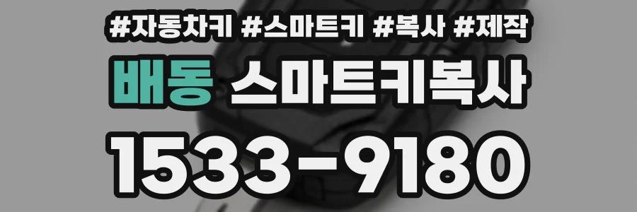 배동 스마트키복사