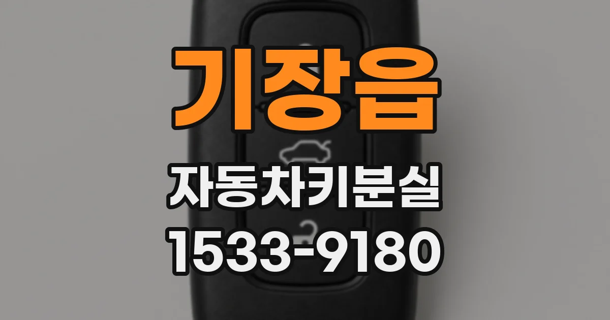 기장읍 자동차키분실