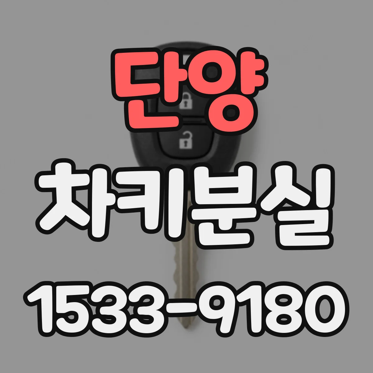단양 차키분실