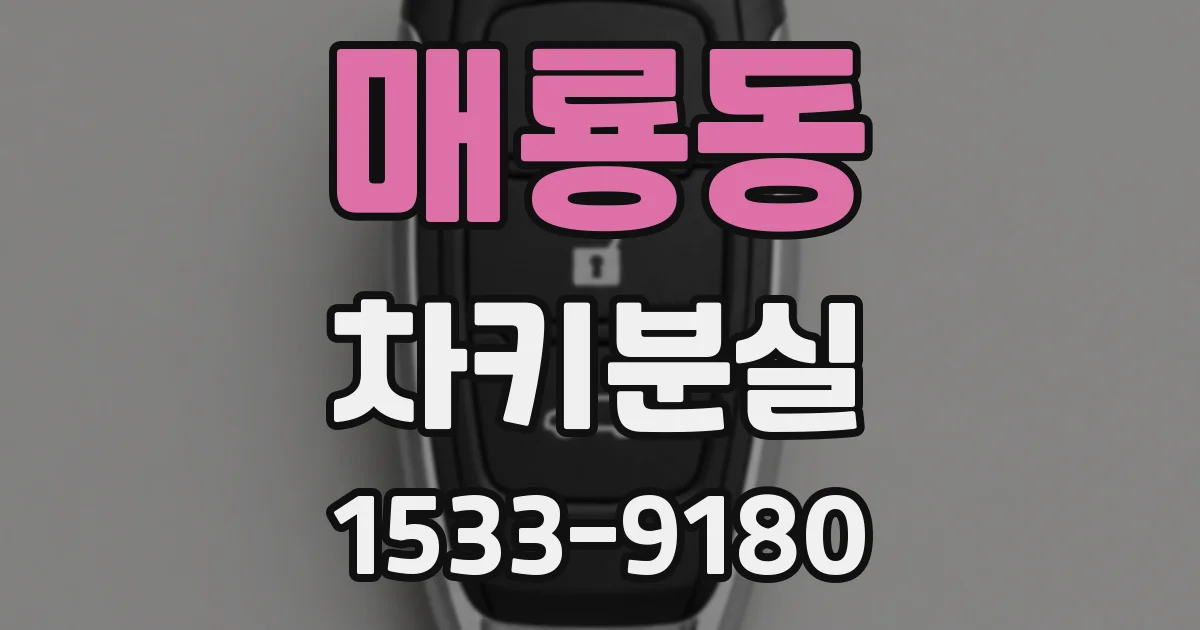 매룡동 차키분실