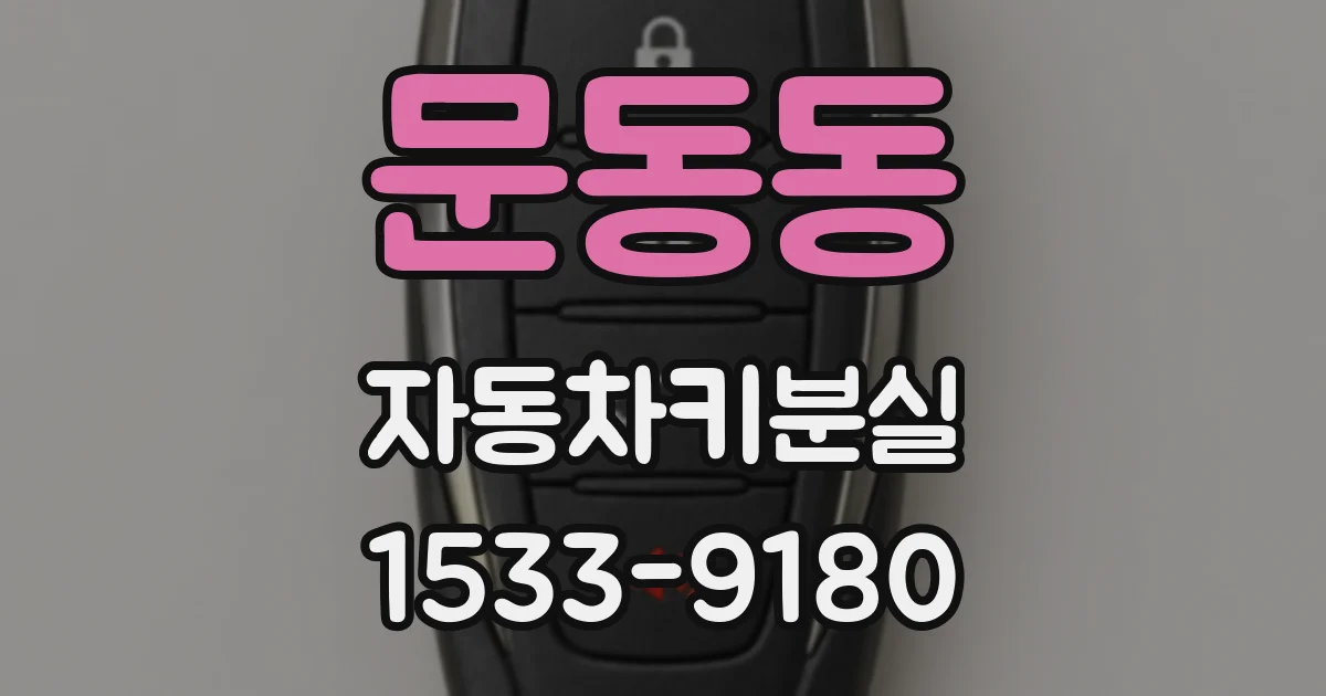 문동동 자동차키분실