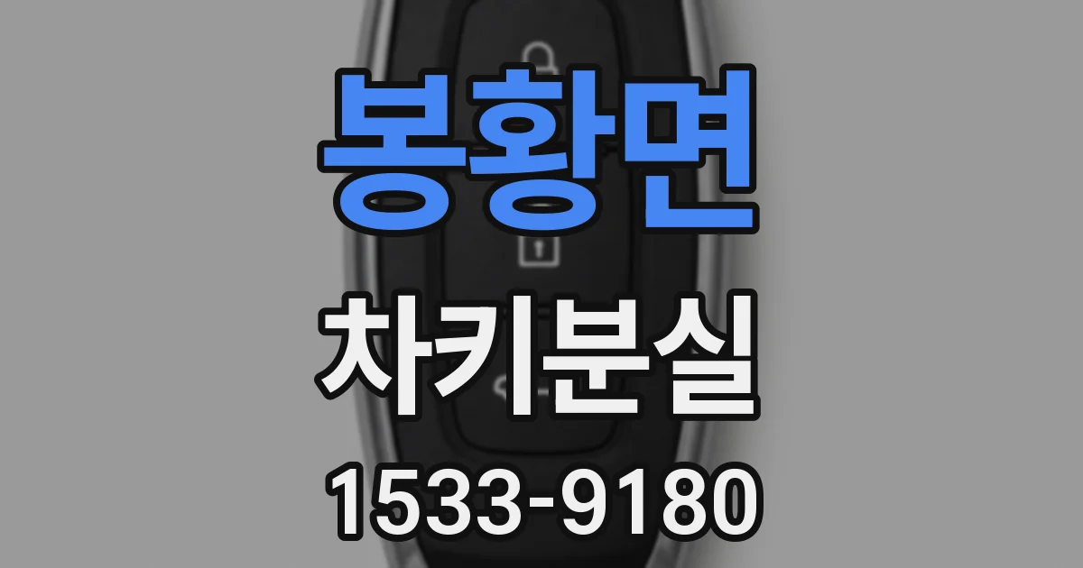 봉황면 차키분실