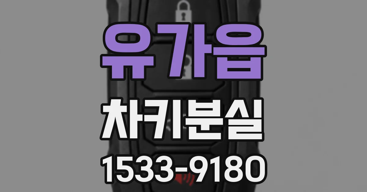 유가읍 차키분실