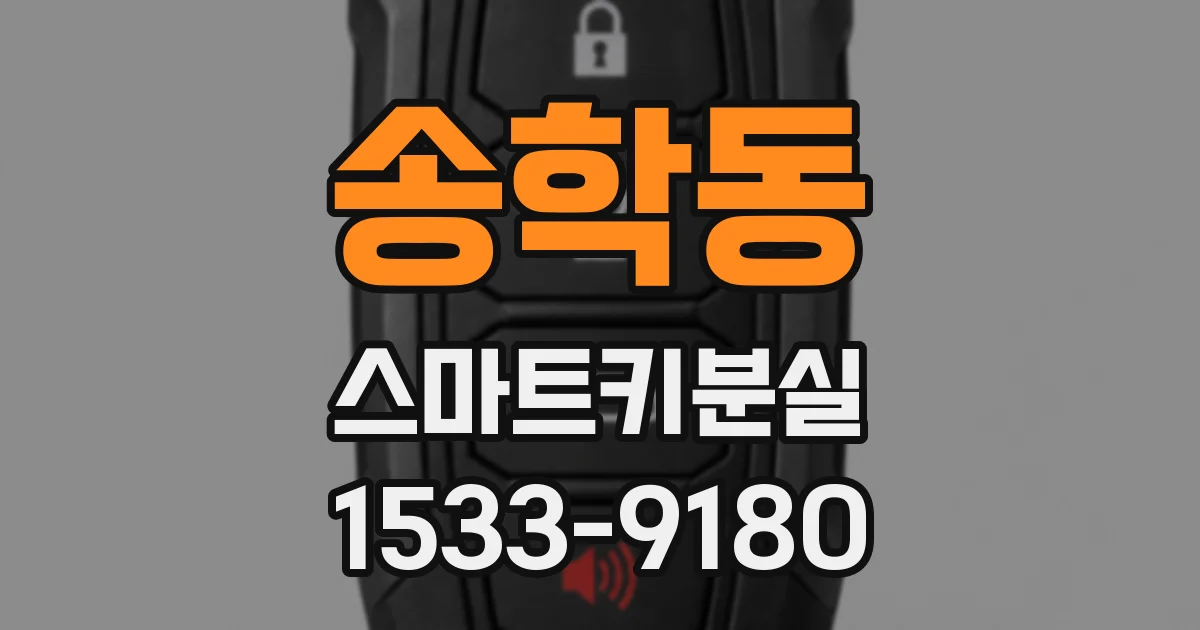송학동 스마트키분실