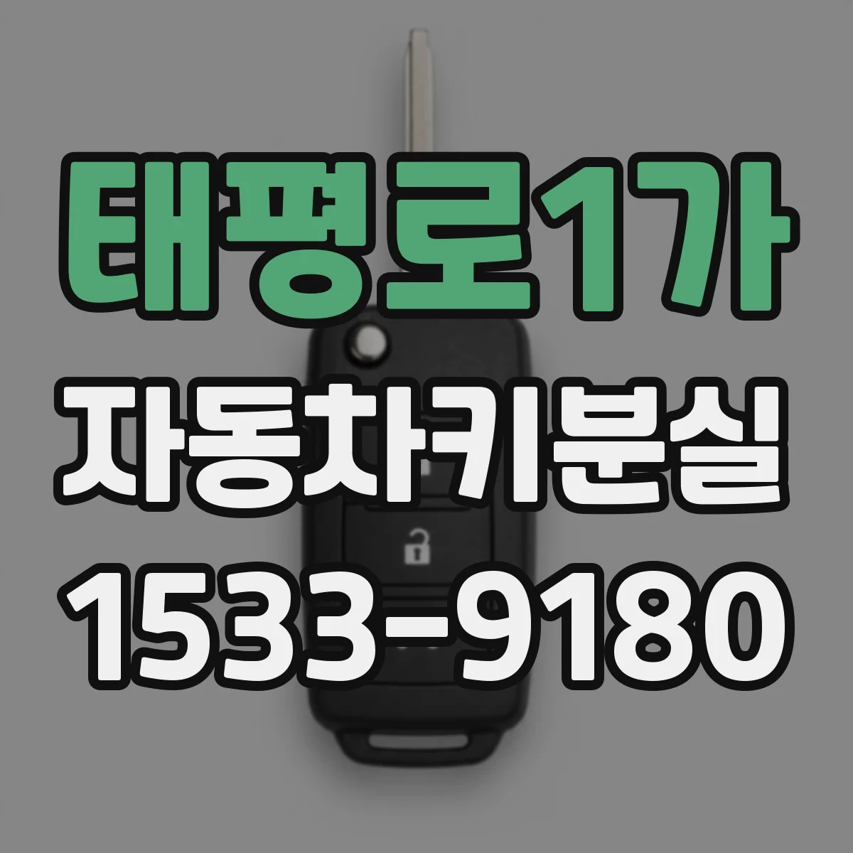 태평로1가 자동차키분실