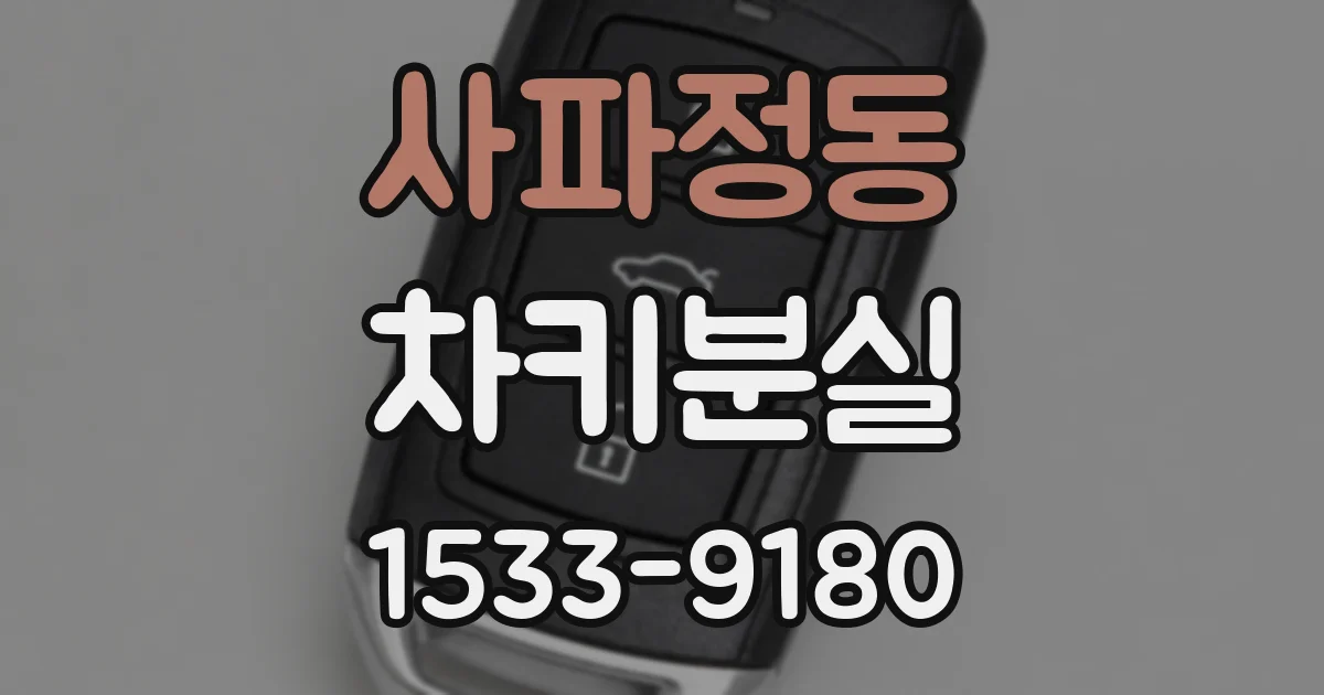 사파정동 차키분실