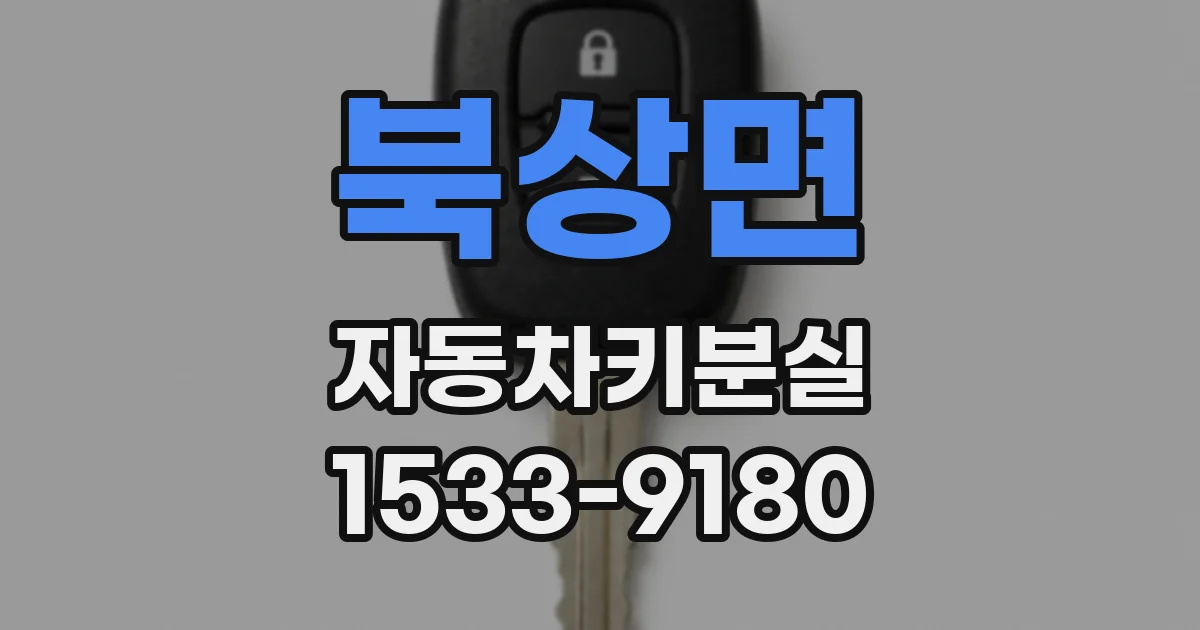 북상면 자동차키분실