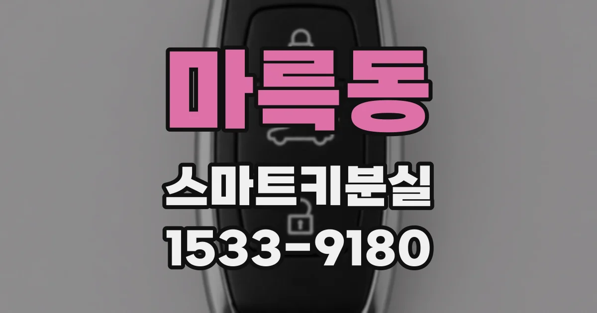 마륵동 스마트키분실