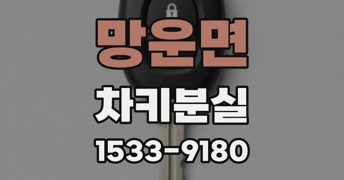 망운면 차키분실