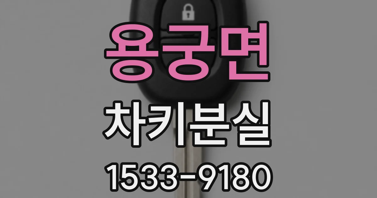 용궁면 차키분실