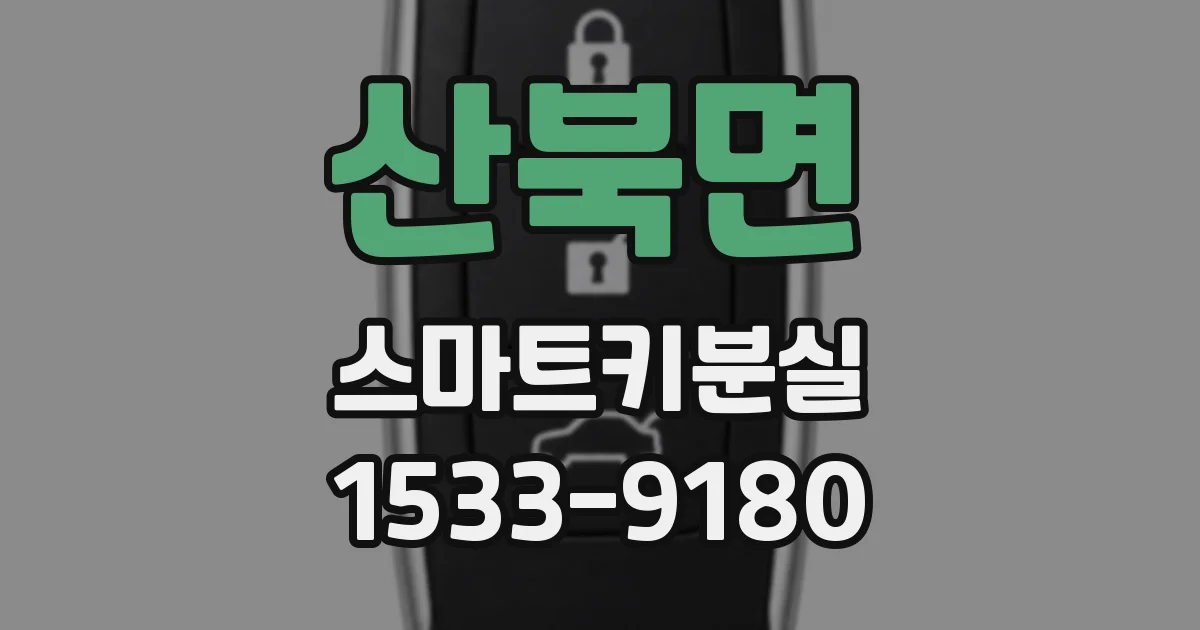 산북면 스마트키분실