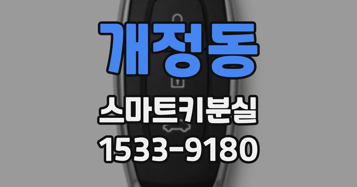 개정동 스마트키분실