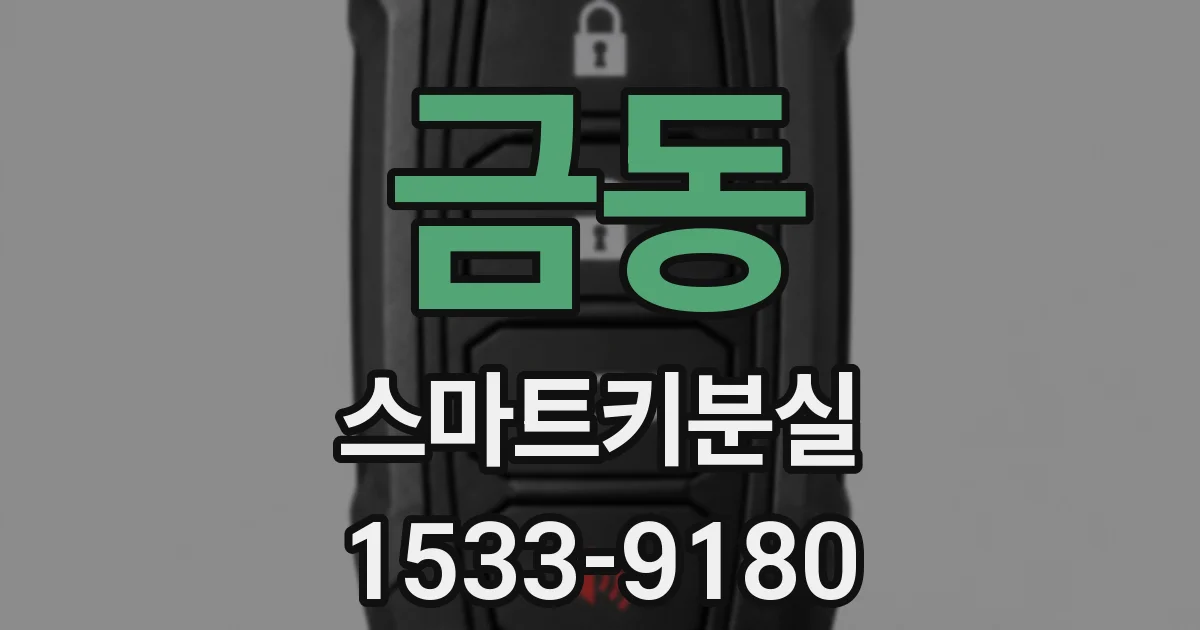 금동 스마트키분실