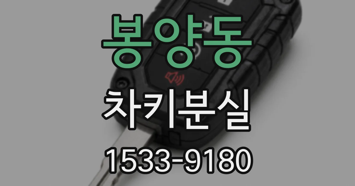 봉양동 차키분실