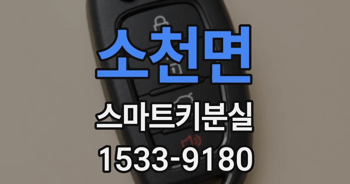 소천면 스마트키분실